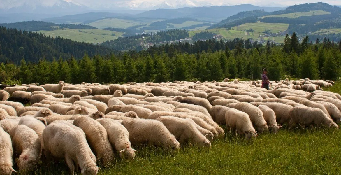 WIELKANOC W PIENINACH